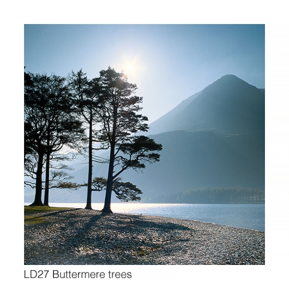 LD27 Buttermere trees GC web