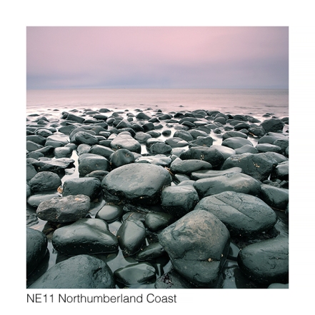 NE11 Northumberland Coast web 1095
