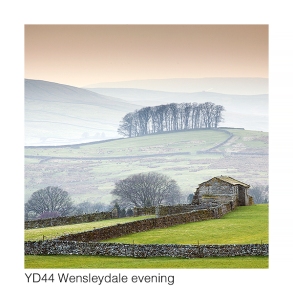 YD44 Wensleydale evening GCs web