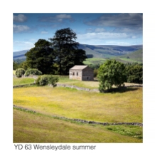 YD63 Wensleydale summer GCs web