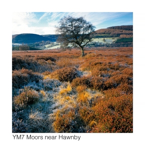 YM7 Moors near Hawnby GCs web